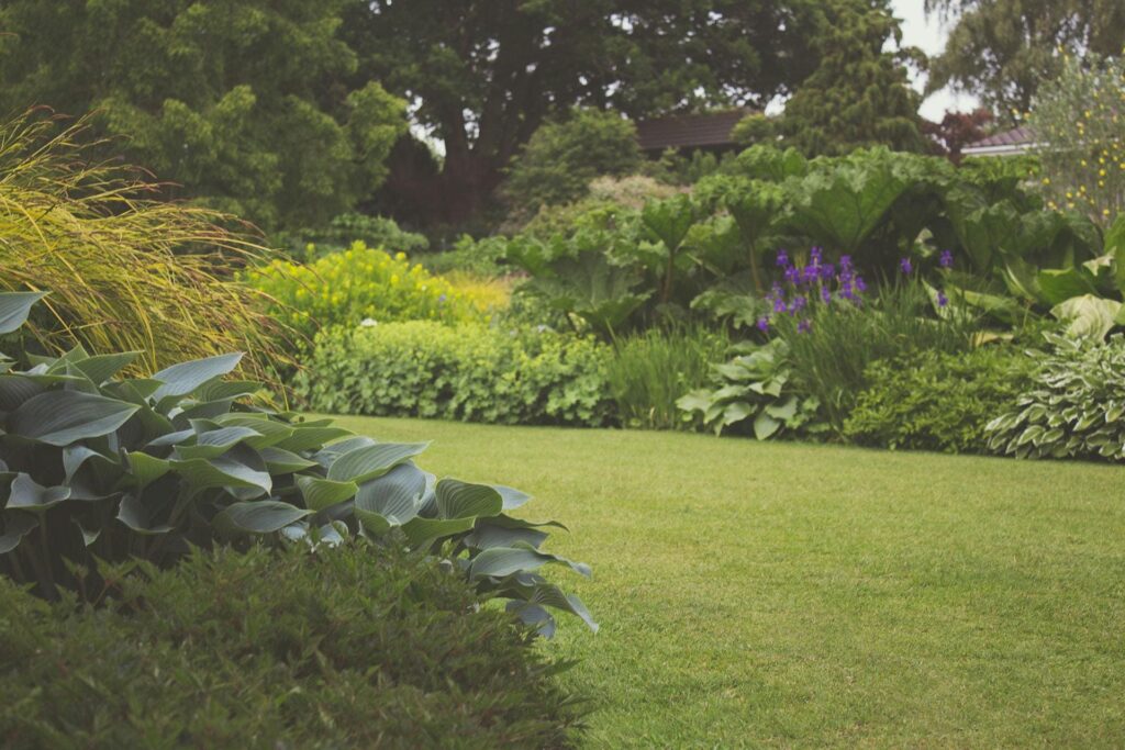 Gazon met groene borders en struiken in een tuin