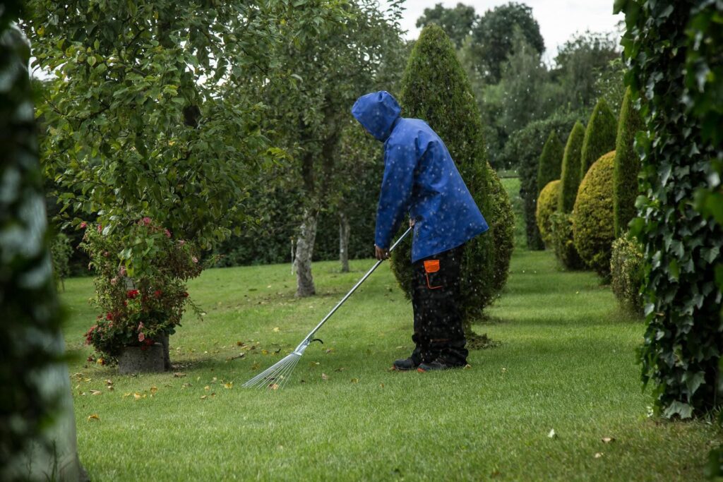 Tuinmedewerker harkt het gazon in een groene tuin